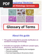 Tissue Processing and Staining