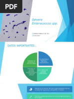 Género Enterococcus SPP.: Gabriela Abdalla Qb. Msc. 23/03/2023