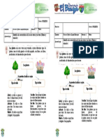 1° Clases de Plantas #2 1P (S)