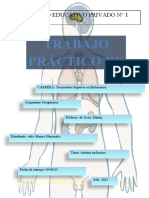 Trabajo Práctico - Sistema Endocrino