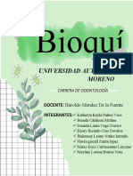 Macroelementos Bioquimica