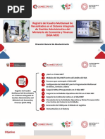 Registro Del Cuadro Multianual de Necesidades en El Sistema Integrado de Gestión Administrativa Del Ministerio de Economía y Finanzas (Siga Mef)