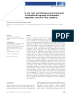 Influence of Habitat and Host Morphology On Macrofaunal Assemblages Associated With The Sponge Halichondria Melanadocia in An Estuarine System of The Southern Gulf of Mexico