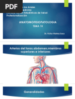 Anatomofisiopatologia