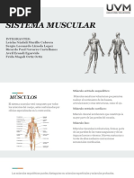 Sistema Muscular