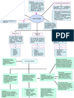 Diabetes Actividades