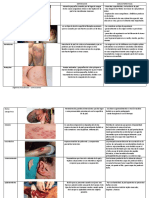 Trabajo Medicina Legal 2