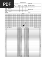 Formato Diagrama Bimanual