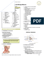 Trans SaVi Oto Lec 10 Head and Neck Anatomy and Benign Masses 1st Sem