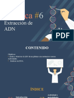 Practica 6 - Extracción de Adn