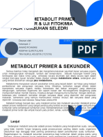 Pengertian Metabolit Primer Dan Skunder & Uji Fitokimia Pada Tumbuhan Seledri