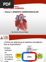 SEM03-teoría 3 Ap. Circulatorio y Respiratorio
