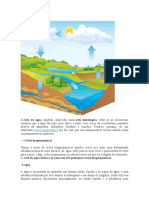 Ciclo Biogeoquímico