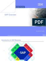 SAP Overview: IBM Global Business Services