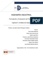 Ingeniería Industrial: Formulación y Evaluación de Proyectos Capítulo 5: Análisis de Impacto