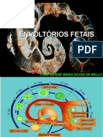 Envoltórios Fetais