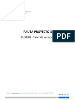 Pauta Proyecto 3: CLG0901 - Taller de Iniciación