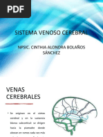 Sistema Venoso Cerebral: Npsic. Cinthia Alondra Bolaños Sánchez