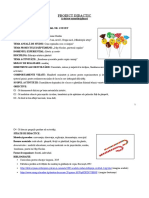 Proiect Didactic Bomboane Si Acadele