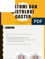 Anatomi Dan Histologi Gaster