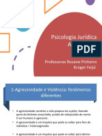 Psicologia Jurídica As Faces Da Violência: Professoras Rosane Pinheiro Krüger Feijó