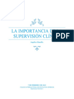 La Importancia de La Supervisión Clínica.