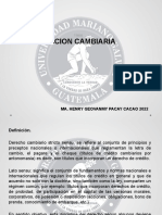 Vi. Accion Cambiaria 2022