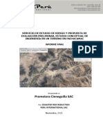 Promotora Cieneguilla SAC: Informe Final