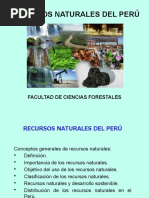 Recursos Naturales Del Perú: Facultad de Ciencias Forestales