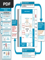 Ciclo BPM