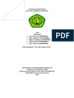 Laporan Praktikum 1 Botani Tumbuhan Rendah Lumut - Kel 5