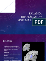 Sistema TALAMO, HIPOTALAMO Y SISTEMA LIMBICO