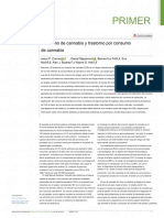 Primer: Consumo de Cannabis y Trastorno Por Consumo de Cannabis