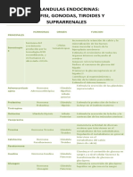 Glandulas Endocrinas