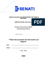 Estructura Proyecto de Innovacion - Mejora Nivel Profesional Tecnico