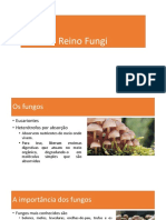 Reino Fungi