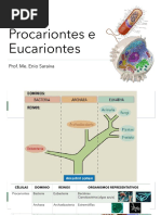 Procariontes e Eucariontes