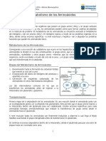 Apunte Metabolismo de Los Aminoácidos