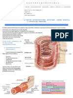 Fisiología: Gastrointestinal