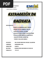 Extraccion de La Calicata