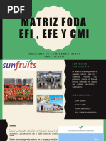 Matriz Foda Efi, Efe Y Cmi: Seminario de Complementación Practica Iii