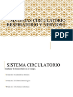 Sistemas - Circulatorio, - Respiratorio - y - Nervioso WGP