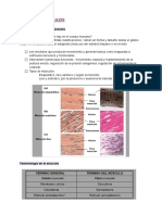 Tema 2-3 Fisiología Humana-Logopedia 