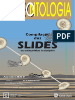 Slides: Compilação Dos