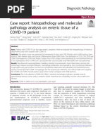 Case Report: Histopathology and Molecular Pathology Analysis On Enteric Tissue of A COVID-19 Patient