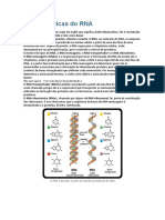 Atividade RNA e Síntese Proteíca