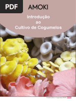 E-Book Introdução Ao Cultivo de Cogumelos - AMOKI