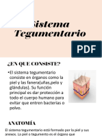 7.sistema Tegumentario