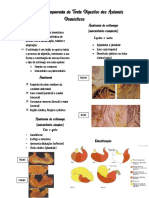 Anatomia Comparada Do Trato Digestivo Dos Animais Domésticos