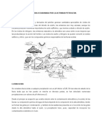 Lluvia Acida Ocasionada Por La Actividad Petrolera
